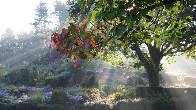 Veranstaltungen Botanischer Garten Universität Hamburg