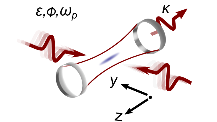 dynamical-bond-density-wave