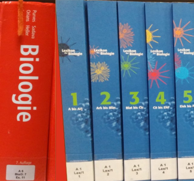 bibliothek fb biologie 640x595 Buchrücken
