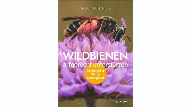 Abbildung Wildbienen artgerecht unterstützen