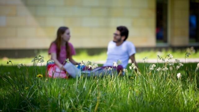 studierende auf wiese