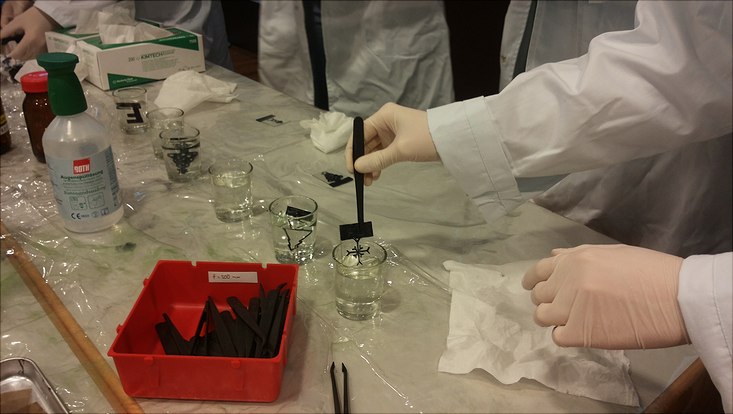 lc-display-733x414 hands in gloves working on a display