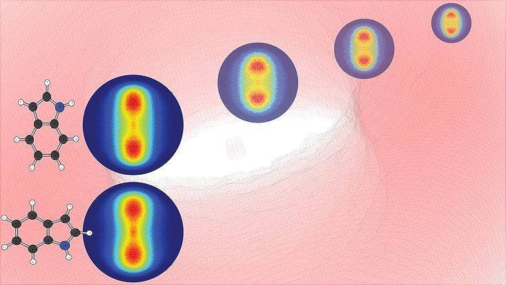 Links ist die gitterartige Struktur des Biomoleküls in zwei Ausrichtungen, daneben Kreise, in deren Innerem aufrechte ovale Strukturen wiederum mit Kreisen stehen.