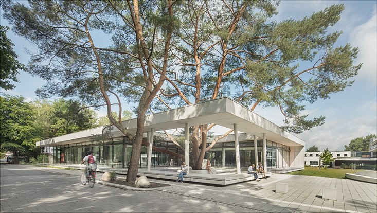 Single storey glazed building with two pine trees
