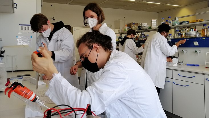 Die Promovierenden des GRK2530 pipettieren im Labor der Mikrobiologie.