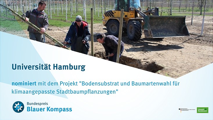 Angeschnittenes Foto Baumpflanzung, Schrift: Universität Hamburg nominiert mit dem Projekt BoBaSt, Bundespreis Blauer Kompass