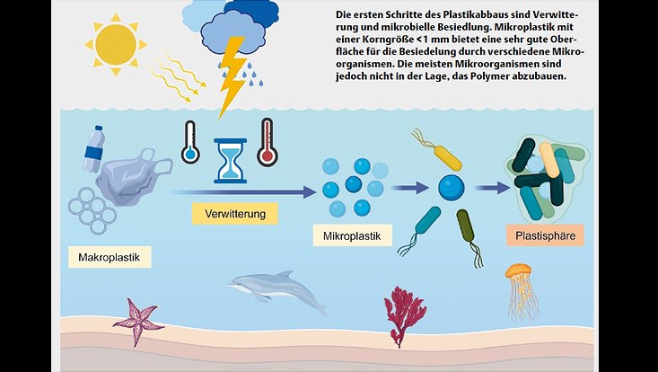 Erste Schritte Plastikabbau