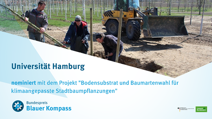 Blauer Kompass