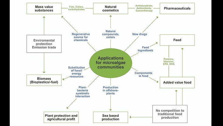 Health benefits of microalgae and their microbiomes