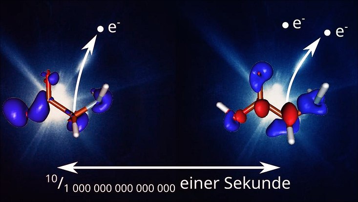 On the left are sticks with blue lobes in front of a white flah, on the right sticks with blue and red lobes in front of a wihite flash.