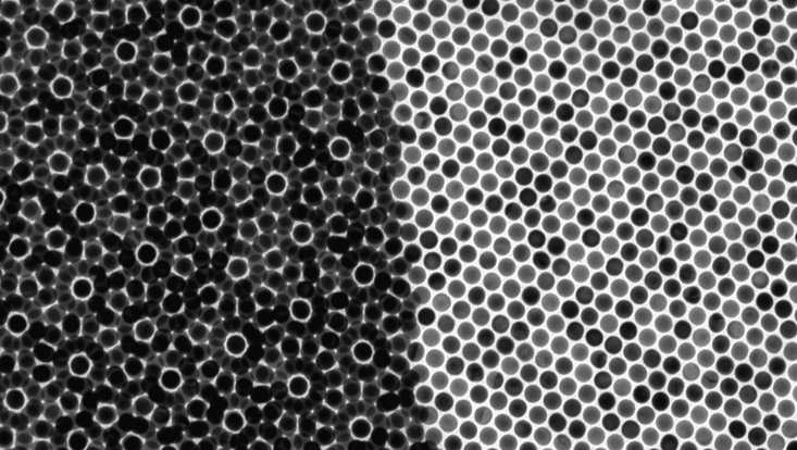 Pattern of black and gray dots arranged in circle on the left, grid on the right