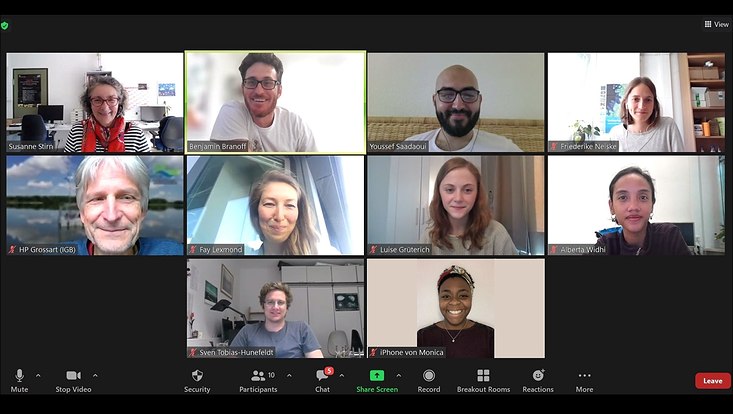 Screenshot des ZOOM-Meetings beim GRK Journal Club.