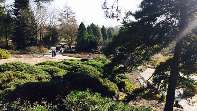 Botanischer Garten Universität Hamburg