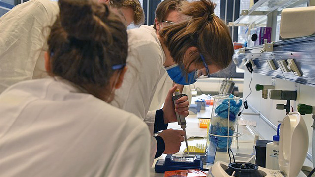 Molecules and schools