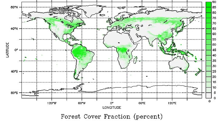 MODIS Forest-Cover-Fraction 2021