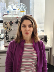 Profilbild von Rafiga Masmaliyeva