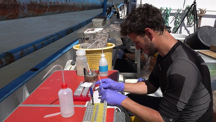 Raphael Koll collects samples on a vessel on the elbe estuary.