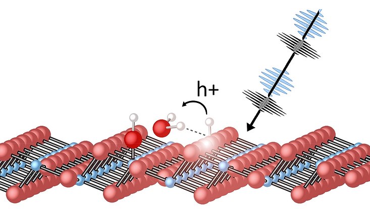 Drawing of the light-induced dynamics of water molecules