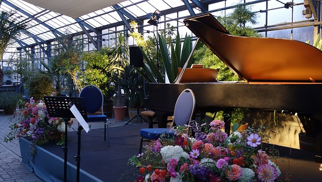 Bühne im Gewächshaus des Botanischen Gartens. Im Vordergrund Blumenbouqets, im Hintergrund ein schwarzer Steinway-Flügel
