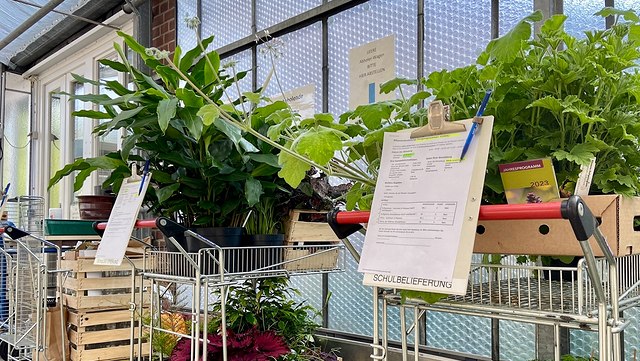 viele grüne Pflanzen auf einem Einkaufswagen, davor ein Klemmbrett mit Schrift