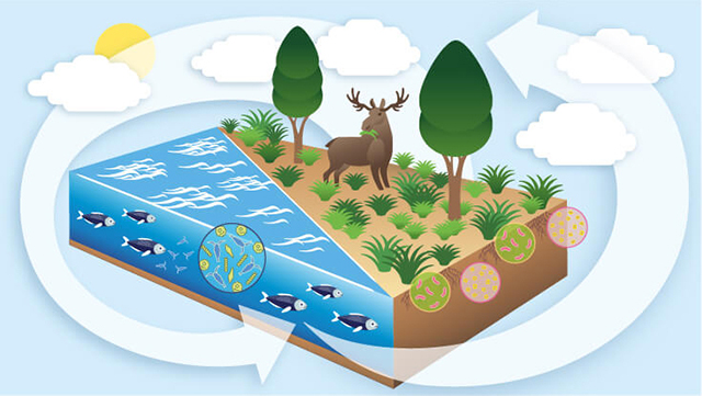 klimakreislauf-640-361 Illustration eines Klima Kreislaufes