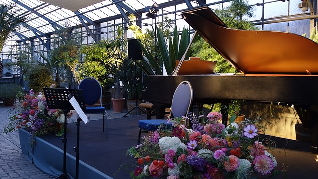 Konzerte & Ausstellungen Botanischer Garten Universität Hamburg