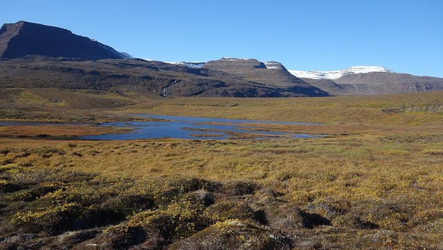 Feldforschung auf der grönländischen Diskoinsel.