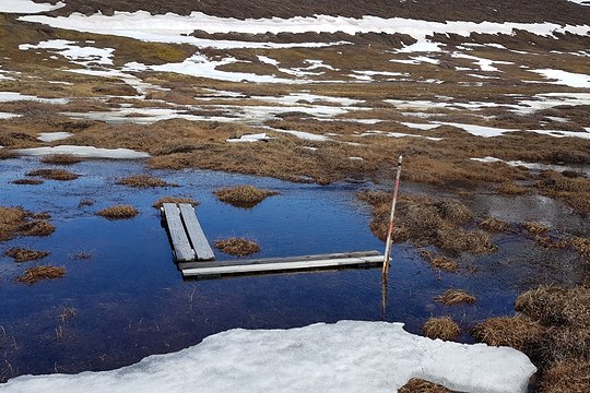 View of wodden boardwalk over soaked ground due to snow melt