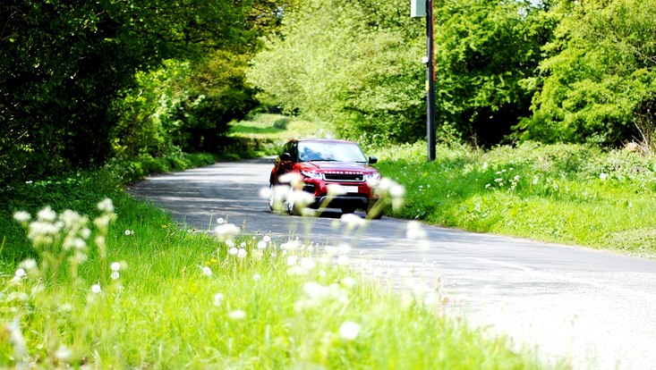 Rotes auto fährt auf einer kurvigen Straße umgeben von Bäumen und Wiesen