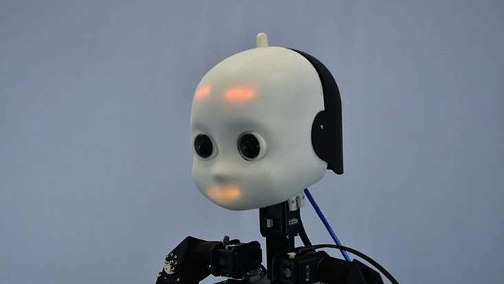 Sein Video zeigt die in der Arbeitsgruppe „Knowledge Technology“ von Prof. Stefan Wermter entwickelte humanoide Roboterplattform NICO (Neuro-Inspired COmpanion).