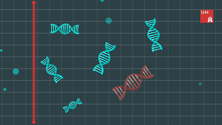 In dem Animationsvideo stellt sie das neuartige Laser-Scan-Verfahren BIOREAD vor, mit dem DNA-Moleküle wie Strichcodes für biomedizinische Anwendungen, z. B. zur Krebsüberwachung, ausgelesen werden können.