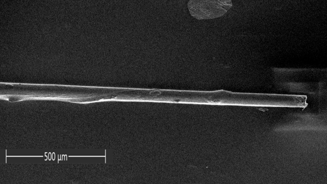 Electron microscope image of optical fiber
