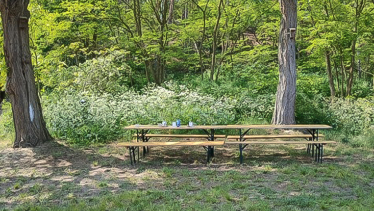 bank-wald-733-414 Elbauenstation Pevestorf Ansicht und Umgebung