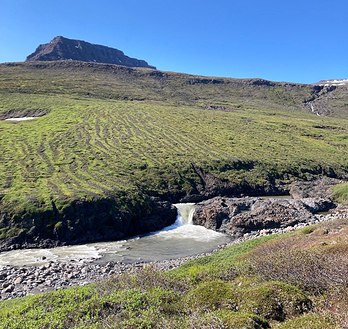 small mountain stream meanders through the rocks