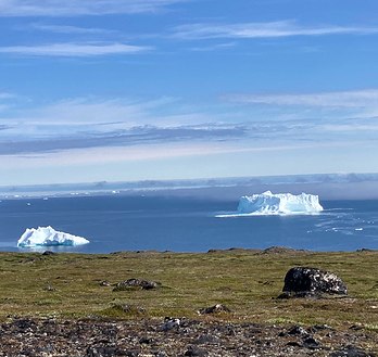 beautiful view from the hill towards the ocean with two small icebergs