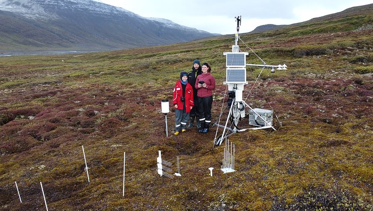 AWI-Forschende vor der installierten Klimastation in der grönlandischen Tundra