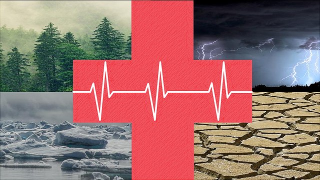 Collage Wald, Eis, Gewitter, Ausgetrockneter Boden verbunden mit Rotem Kreuz