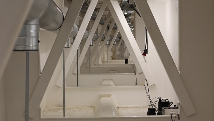 news2-733x414 Seismology Trondheim