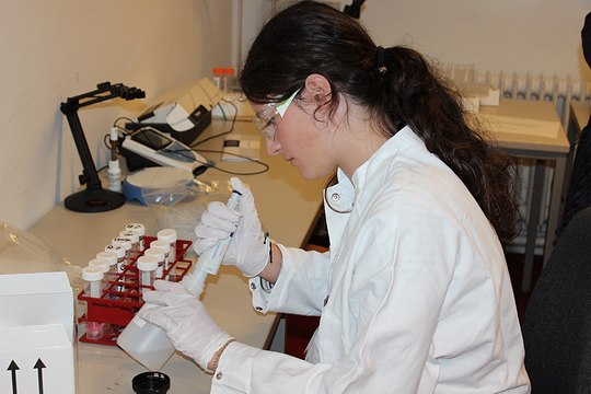 Ferienkurs Chemie 2023