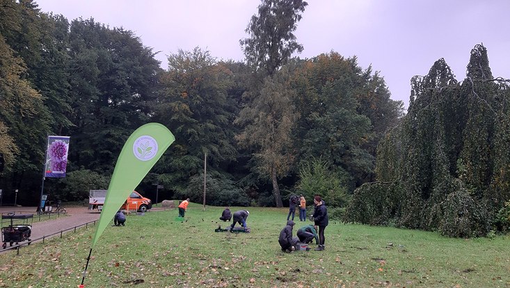 Mehrere Personen auf einer grünen Wiese, die PFlanzen eingraben