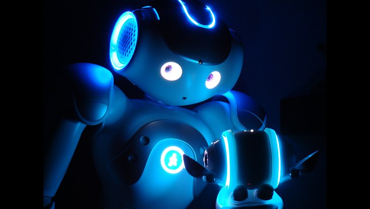 Der Roboter Nao