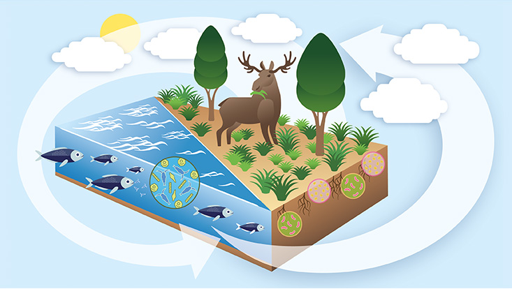 Illustration of a climate cycle