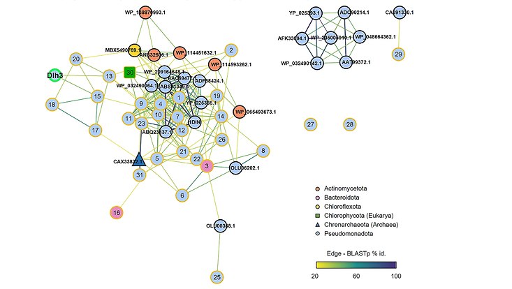Clustering and phylogenetic analysis