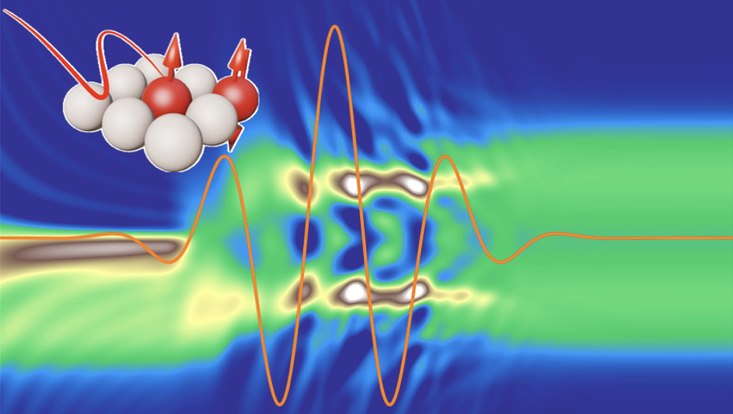 Wissenschaftliche Illustration