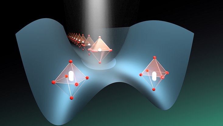 Wissenschaftliche Illustration