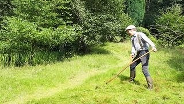 sensenworkshop-1-640x361 Christian Heinisch mit seiner Sense auf einer großen grünen Wiese