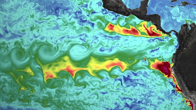 Surface phytoplankton concentration in a 5-km resolution ICON/HAMOCC simulation.