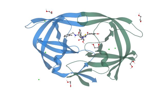 Header Bioinformatik