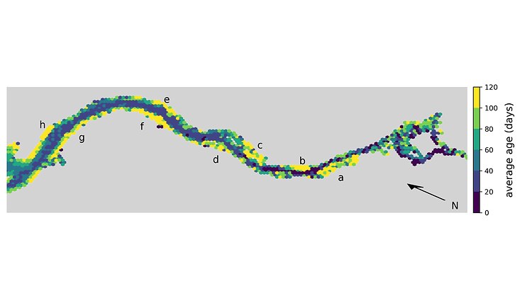 Hex-bin heat map of the average age of phytoplankton cells in the Elbe estuary.
