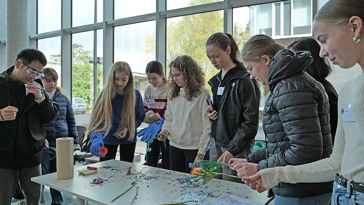 bild09-733x414 Girls' Day in den Nanowissenschaften